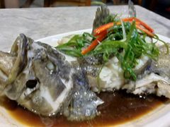 石斑鱼-四川小胡子海鲜(丁村万人海鲜广场店)