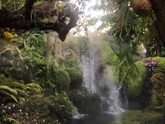 -Chom Cafe and Restaurant