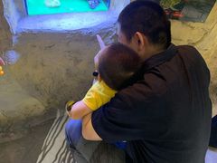 -MR.ZOO小小动物元室内动物园(沈阳沈河盛京中心)