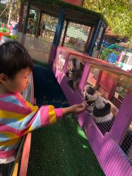 -萌宠亲子动物乐园(槐房万达店)