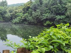 -井塘古村