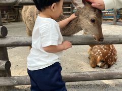 -哈尔滨波塞冬海底世界
