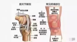 -卡莫瑜伽·普拉提