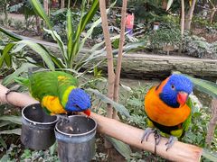 -南宫五洲植物乐园