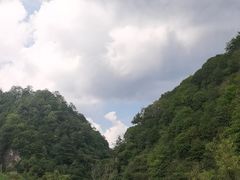-狮子沟牧场
