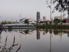 -雁滩公园