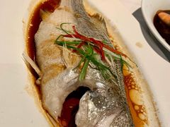 清蒸鲈鱼-汤城小厨•粤菜•靓汤(金宝街店)