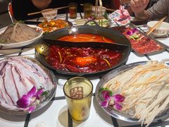 -朱光玉火锅馆(正弘城店)