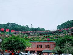 -枇杷园食为鲜火锅(南山店)