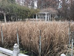 -河南省黄河迎宾馆