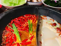 青笋王-袁老四重庆老火锅(桐梓坡店)