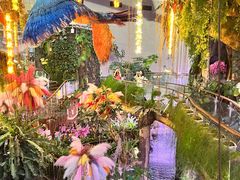 -正佳雨林生态植物园