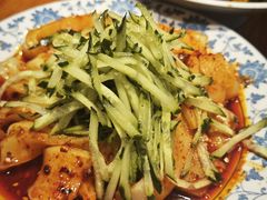 -柴窝堡22号辣子鸡·传承新疆菜