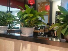 -歪嘴香鸡公煲(大连佳兆业店)