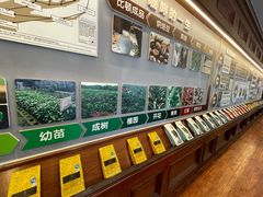 -比顿咖啡文化馆(升阳路店)
