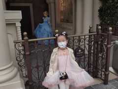 -IL paperino帕帕里诺冰激凌