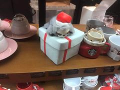 零售区-星巴克臻选(沈阳大悦城店)