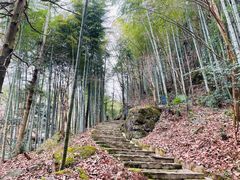 -溪口商量岗景区