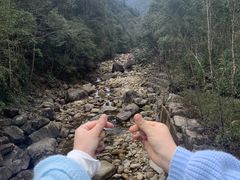 -姑婆山旅游区