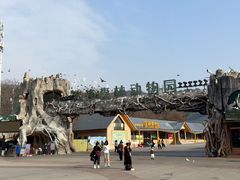 -大连森林动物园