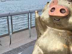 -星光大道