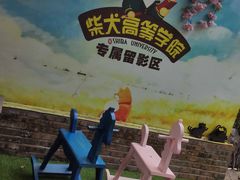 -柴犬高等学院·狗咖·柴犬售卖·宠物训练