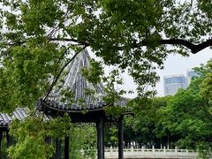 -八大山人梅湖景区