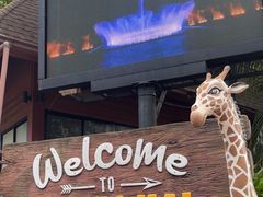 -清迈夜间动物园