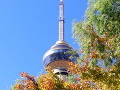 -中央广播电视塔