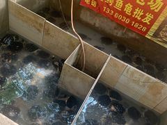 -龟场私房菜