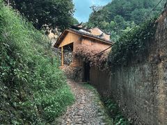 -杨家堂村