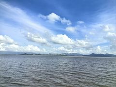 -深圳湾公园(南山区)