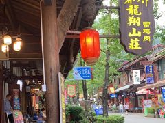 -龙翔山庄雷鸡肉(青城后山泰安古镇店)
