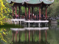 -棠湖公园