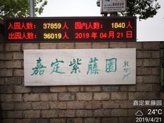 -嘉定紫藤园