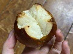 海盐碱水球-WHEN PIGS FLY当猪飞