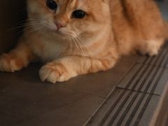 -天井·丑面包搭咖啡