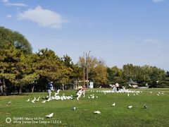 -安立路(地铁站)