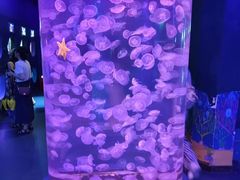 -海合安青岛极地海洋公园