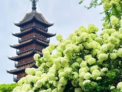 -常熟方塔园