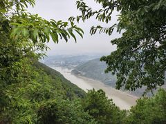 -铁山坪森林公园