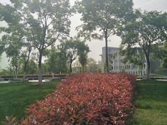 -安徽大学(磬苑校区)