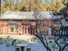 -宫事颐庭·老佛爷贵寿下午茶(颐和园店)