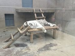 -西安秦岭野生动物园