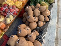 椰子-新鸿港水果市场