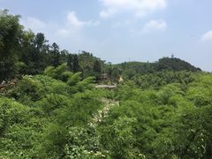 -径山寺