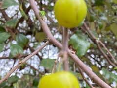 -西涌国际滨海旅游区