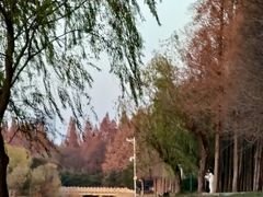 -云龙湖旅游景区