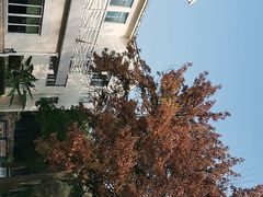 -上海市保健医疗中心