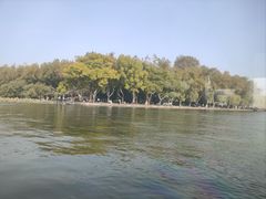 -西湖游船